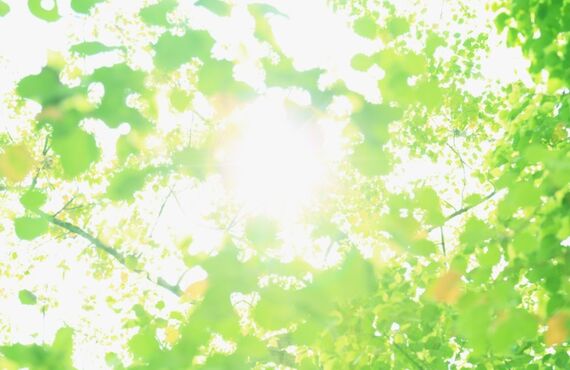 箕面でバイクの買取りならバイク屋アキラまで！